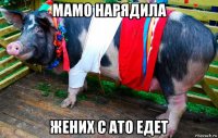 мамо нарядила жених с ато едет