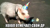  хохол отмечает свой др