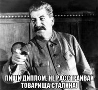  пиши диплом, не расстраивай товарища сталина!