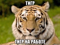 тигр тигр на работе