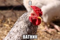 в ватник