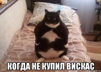  когда не купил вискас