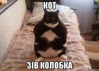 кот зїв колобка