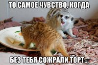 то самое чувство, когда без тебя сожрали торт...
