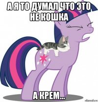 а я то думал что это не кошка а крем...