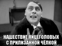  нашествие яйцеголовых с прилизанной чёлкой
