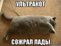 ультракот сожрал лады