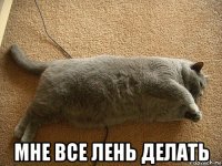  мне все лень делать