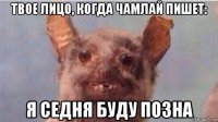 твое лицо, когда чамлай пишет: я седня буду позна