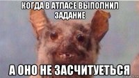 когда в атласе выполнил задание а оно не засчитуеться