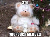 это упоровся медвед