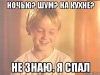 ночью? шум? на кухне? не знаю. я спал