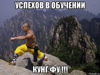 успехов в обучении кунг фу !!!