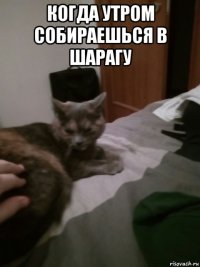 когда утром собираешься в шарагу 
