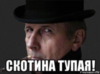  скотина тупая!