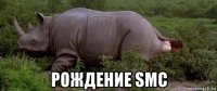  рождение smc