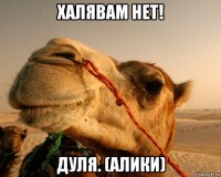 халявам нет! дуля. (алики)