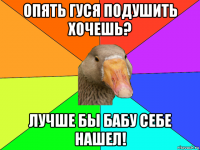 опять гуся подушить хочешь? лучше бы бабу себе нашел!