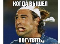 когда вышел погулять
