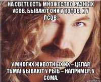 на свете есть множество разных усов. бывают они у котов, и у псов. у многих животных их – целая тьма! бывают у рыб – например, у сома.