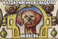 я ходил именно в сандалях на носок