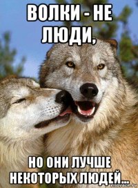 волки - не люди, но они лучше некоторых людей...