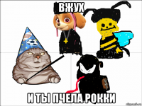 вжух и ты пчела рокки