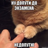 ну допути до экзамена недопутю