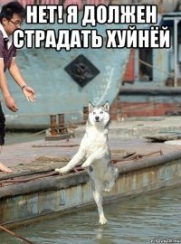 нет! я должен страдать хуйнёй 