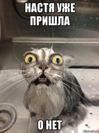 настя уже пришла о нет