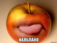 наяблако