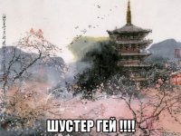  шустер гей !!!!