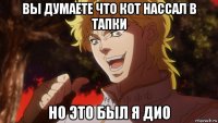 вы думаете что кот нассал в тапки но это был я дио
