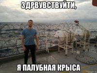 здрвувствуйти, я палубная крыса