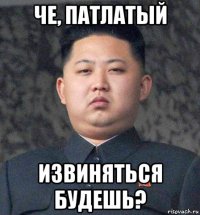 че, патлатый извиняться будешь?