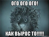 ого ого ого! как вырос то!!!!!