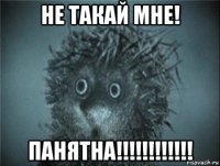 не такай мне! панятна!!!!!!!!!!!!