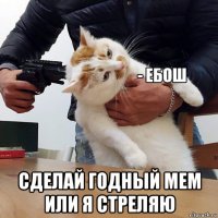  сделай годный мем или я стреляю