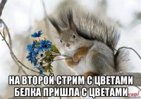  на второй стрим с цветами белка пришла с цветами