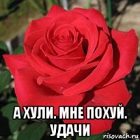  а хули. мне похуй. удачи