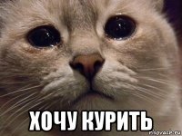  хочу курить