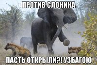 против слоника пасть открыли?! узбагою