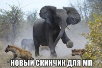  новый скинчик для мп