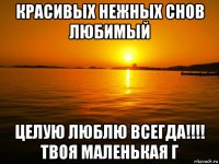 красивых нежных снов любимый целую люблю всегда!!!! твоя маленькая г