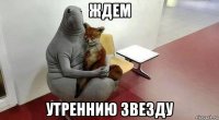 ждем утреннию звезду