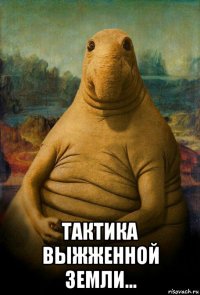  тактика выжженной земли...