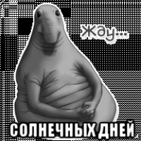  солнечных дней