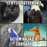 что тут потеряли? бегом назад в зоопарк