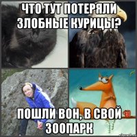 что тут потеряли злобные курицы? пошли вон, в свой зоопарк