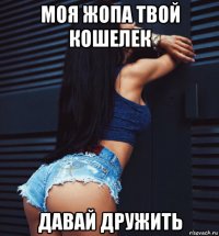 моя жопа твой кошелек давай дружить